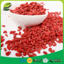 China bulk goji berries wholesale goji berry